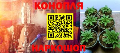 мяу мяу мука Котовск