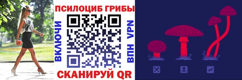 купить  цена  Карабулак  Галлюциногенные грибы мицелий 